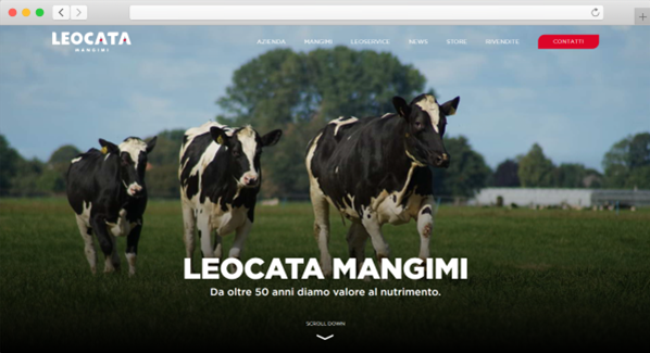 Sito wordpress con tema custom per Leocata Mangimi